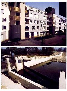 DUMEZ- 1984- 41